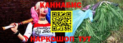 сатива Камышлов